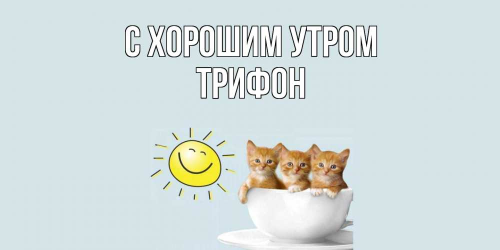 Открытка на каждый день с именем, Трифон С хорошим утром котята Прикольная открытка с пожеланием онлайн скачать бесплатно 