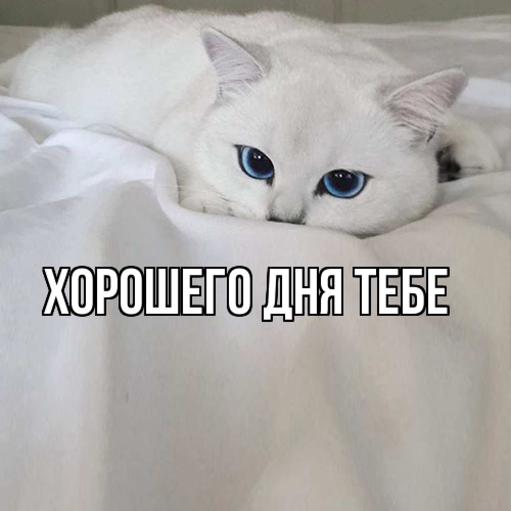 Открытка на каждый день с именем, Теодор Я жду тебя я очень по тебе скучаю и тоскую Прикольная открытка с пожеланием онлайн скачать бесплатно 