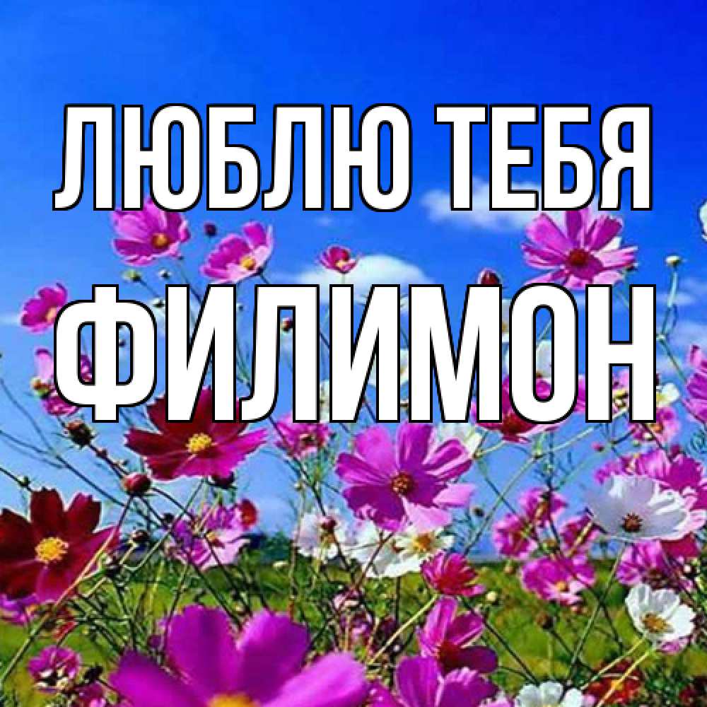 Открытка на каждый день с именем, Филимон Люблю тебя цветы Прикольная открытка с пожеланием онлайн скачать бесплатно 