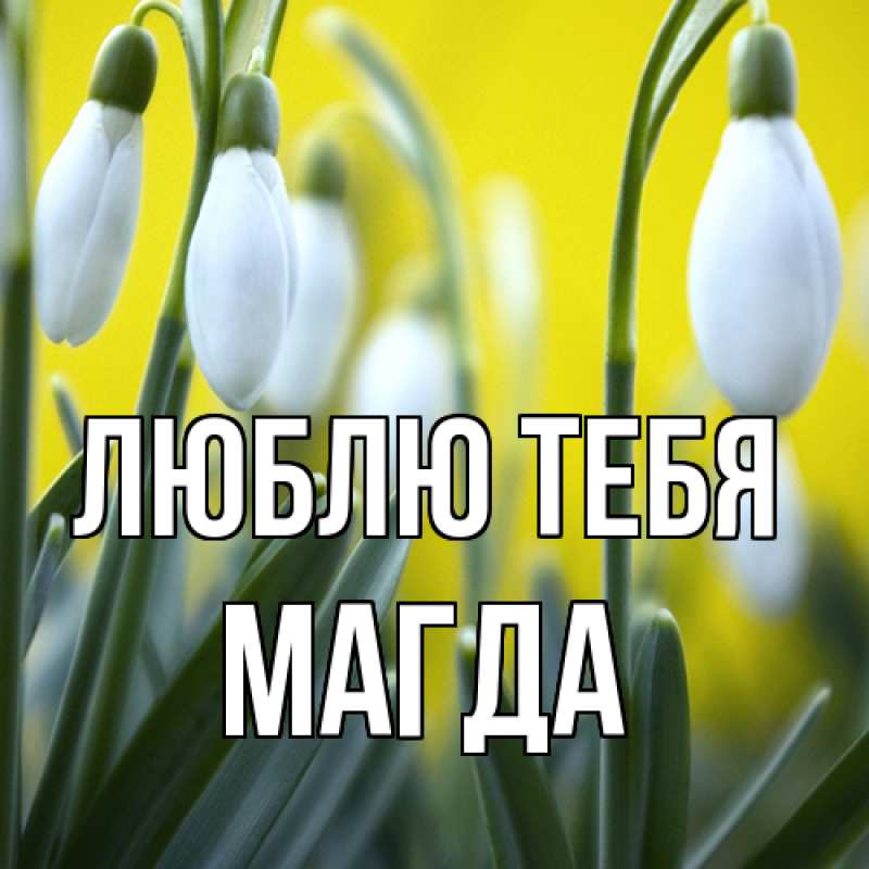 Картинка Люблю тебя, Магда