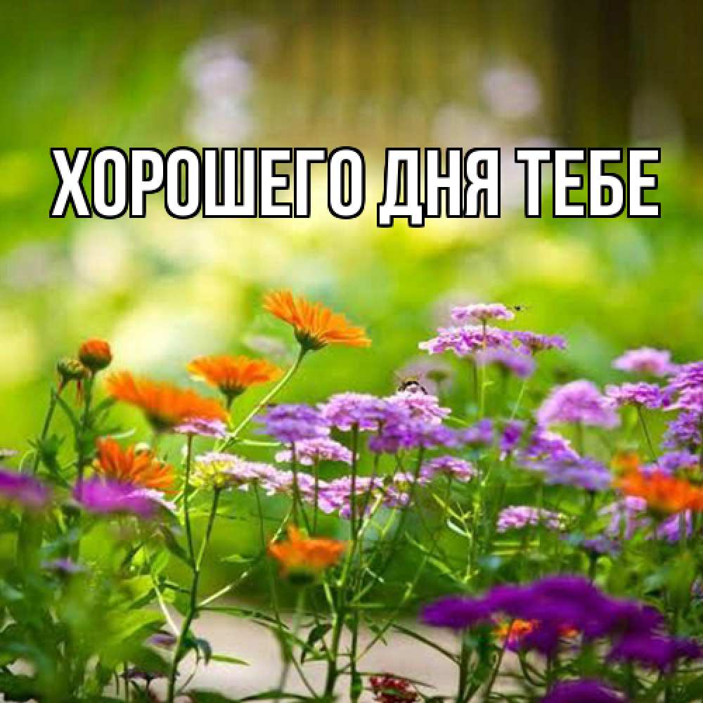 Открытка на каждый день с именем, Измаил Люблю тебя цветы Прикольная открытка с пожеланием онлайн скачать бесплатно 