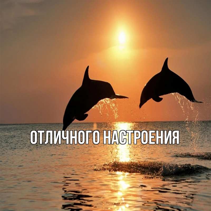 Картинка Обнимашки, Владислава