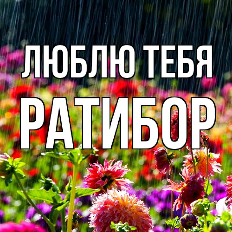 Картинка Люблю тебя, Ратибор