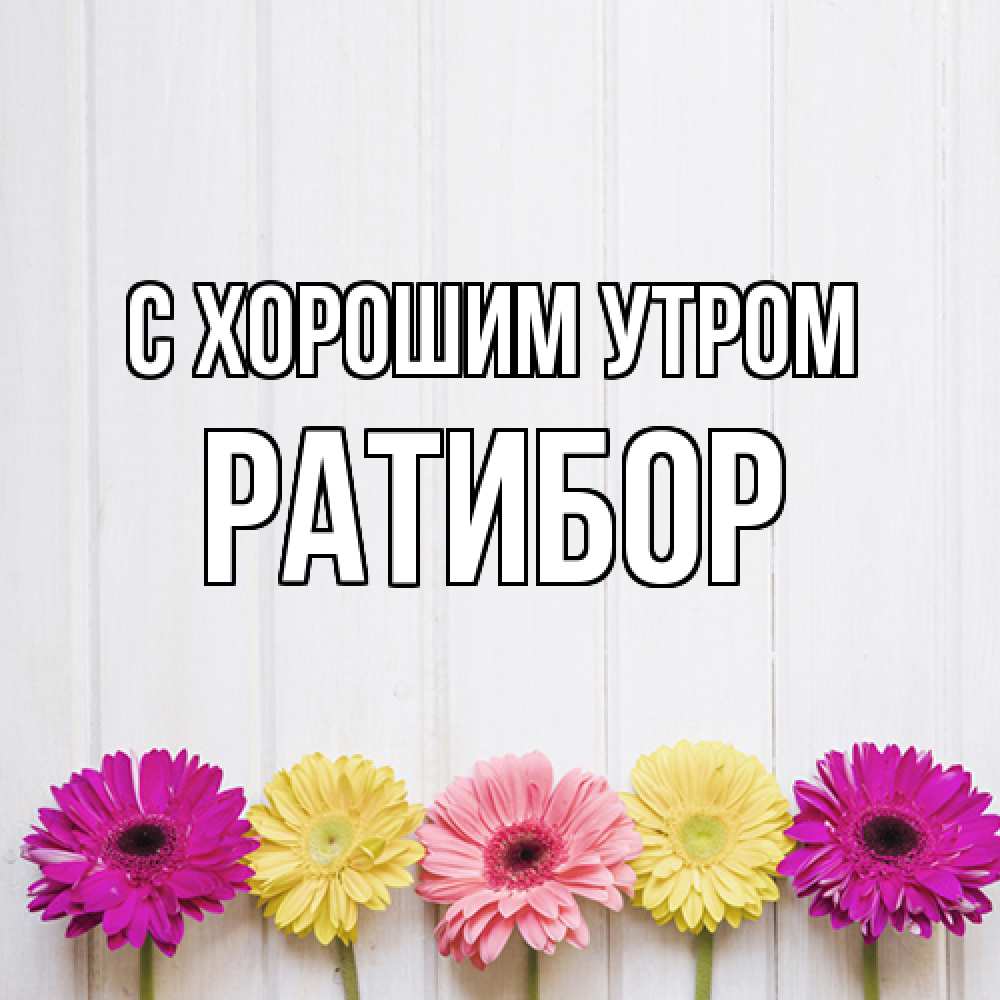 Открытка на каждый день с именем, Ратибор С хорошим утром красный желтый и розовый цветок Прикольная открытка с пожеланием онлайн скачать бесплатно 
