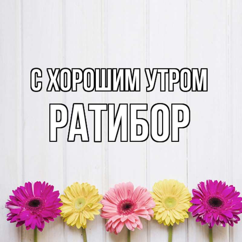 Картинка С хорошим утром, Ратибор