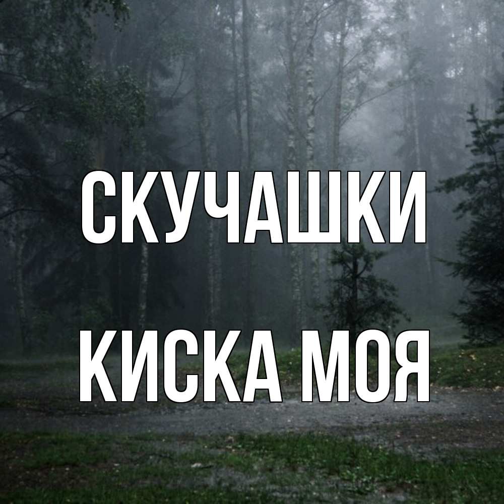 Открытка на каждый день с именем, Киска-моя Скучашки одна и плохо мне Прикольная открытка с пожеланием онлайн скачать бесплатно 