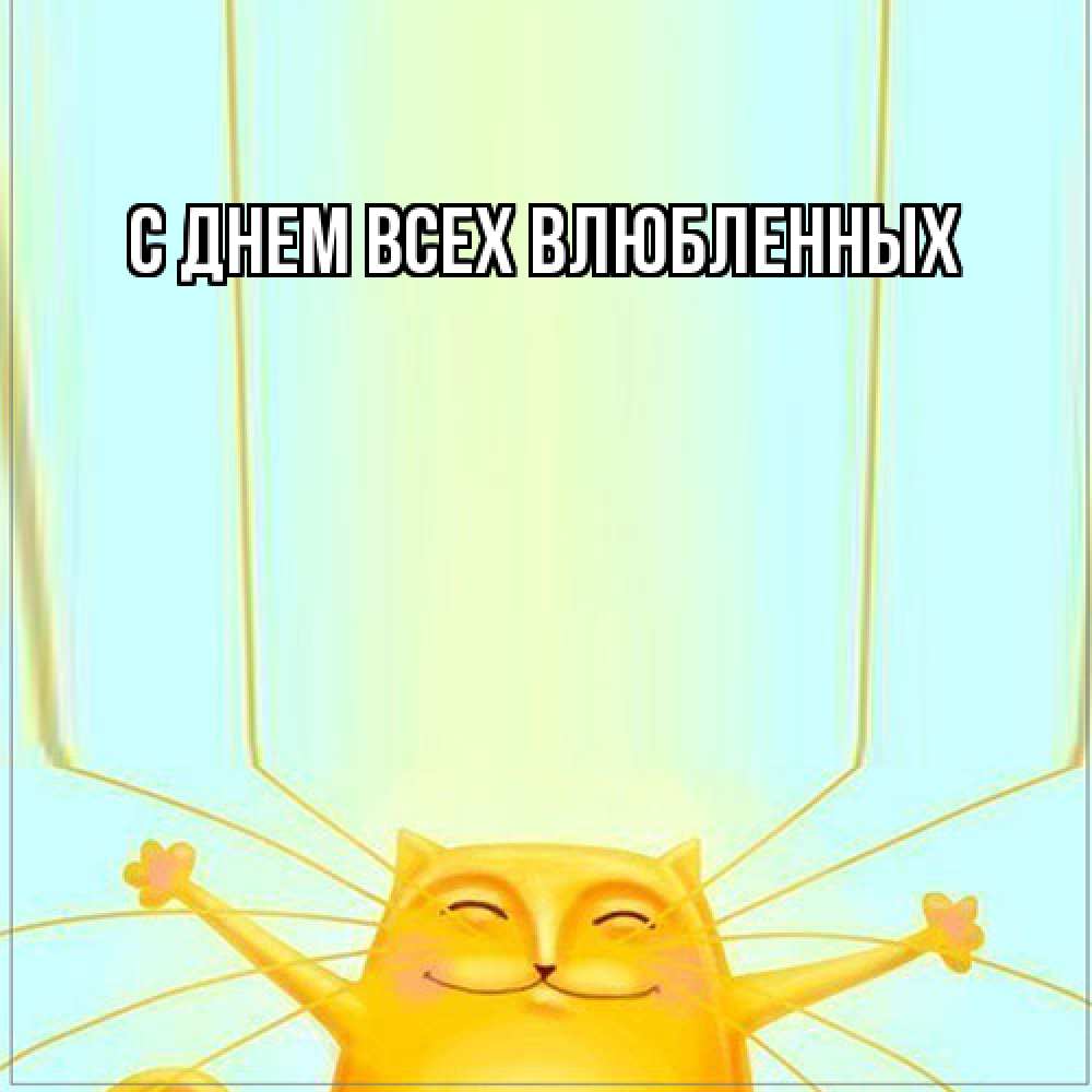 Открытка на каждый день с именем, Шакира Большое спасибо кот с усами благодарит Прикольная открытка с пожеланием онлайн скачать бесплатно 