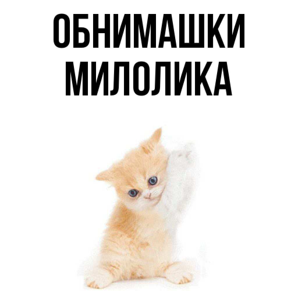 Открытка на каждый день с именем, Милолика Обнимашки я хочу очень скорее обнимаешек Прикольная открытка с пожеланием онлайн скачать бесплатно 