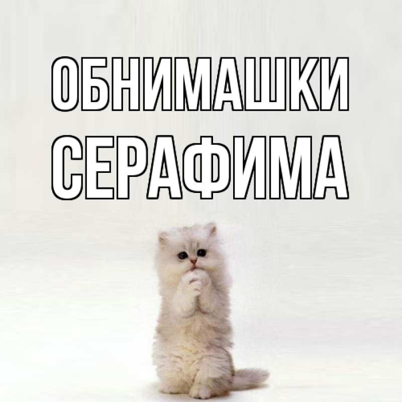 Открытка с именем, Серафима, Обнимашки