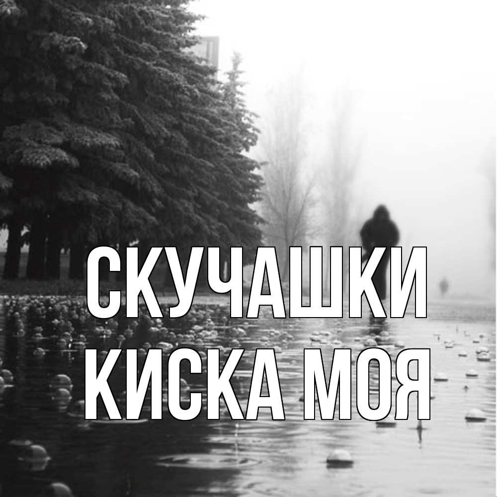Открытка на каждый день с именем, Киска-моя Скучашки приходи Прикольная открытка с пожеланием онлайн скачать бесплатно 