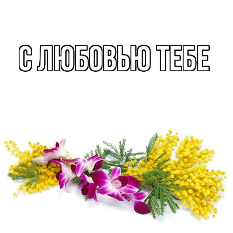 Картинка Люблю тебя, Жан