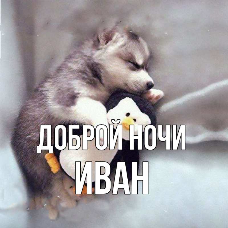 Картинка Доброй ночи, Иван