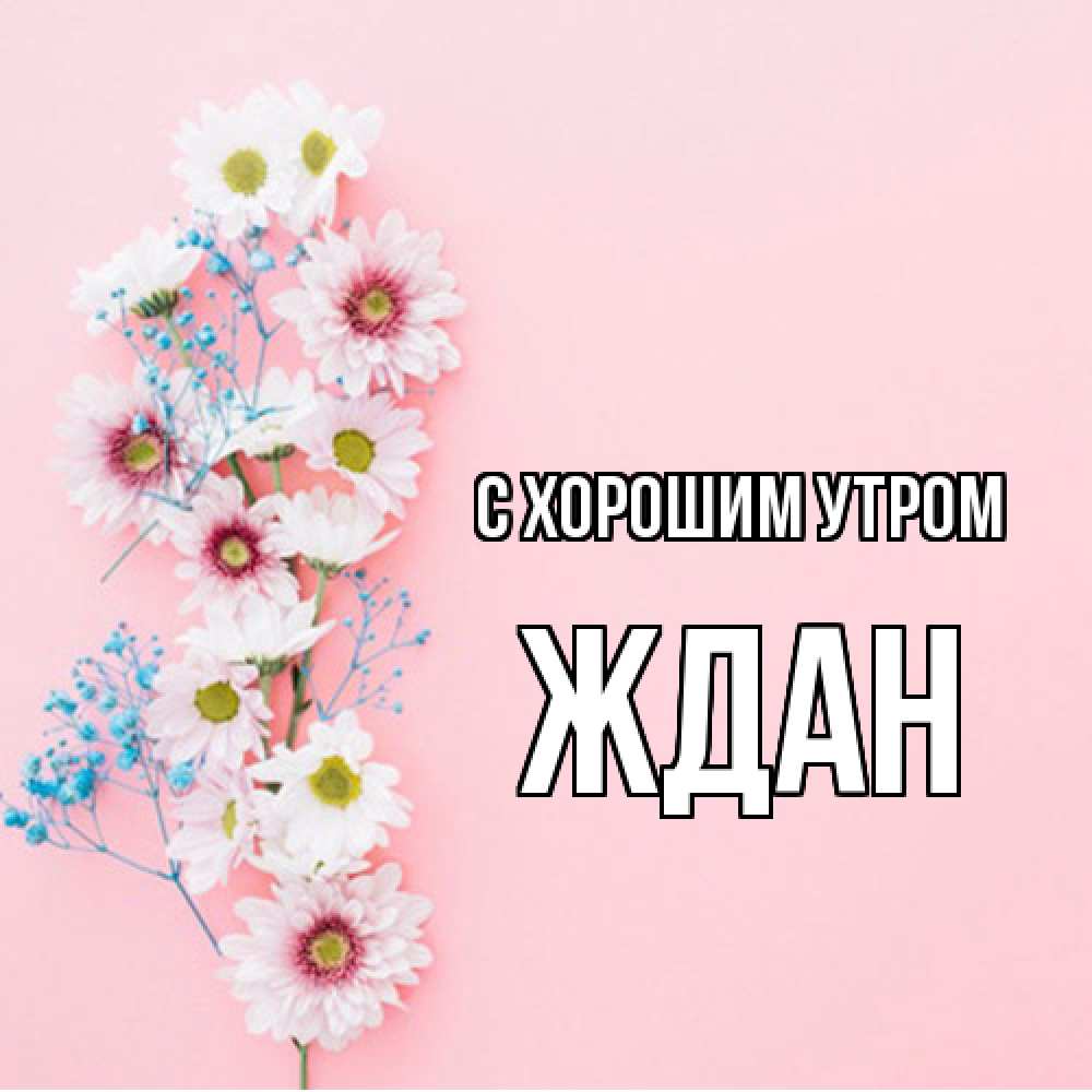 Открытка на каждый день с именем, Ждан С хорошим утром цветы с подписью Прикольная открытка с пожеланием онлайн скачать бесплатно 