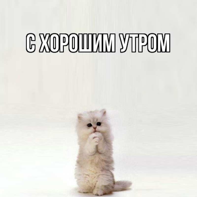 Картинка Я жду тебя, Толя