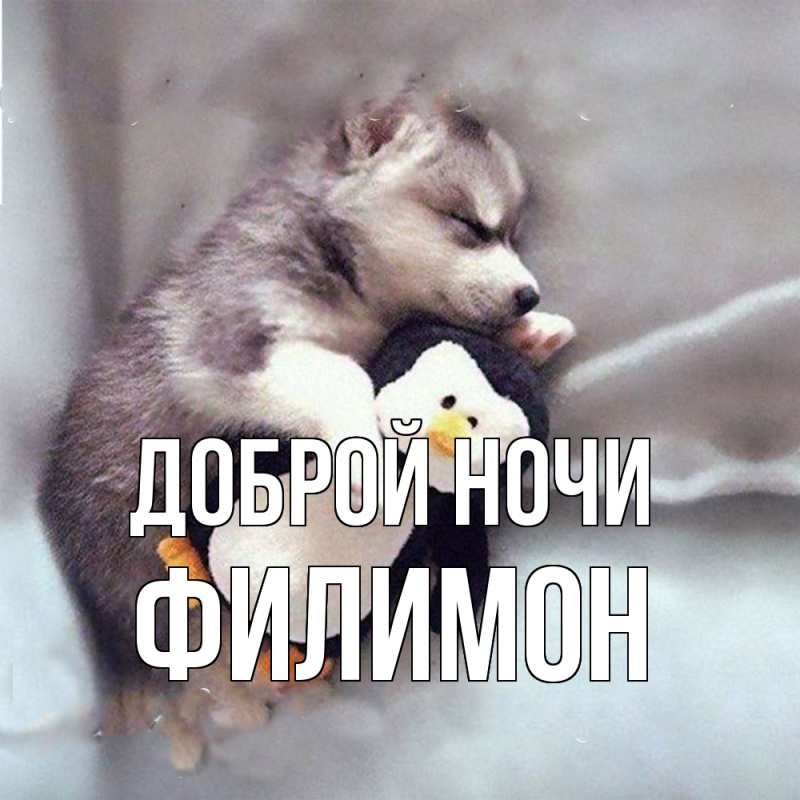 Картинка Доброй ночи, Филимон