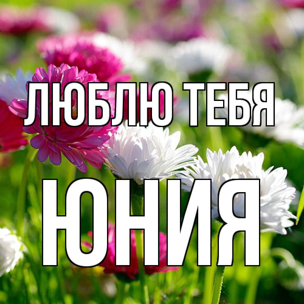 Открытка на каждый день с именем, Юния Люблю тебя международный женский день 1 Прикольная открытка с пожеланием онлайн скачать бесплатно 