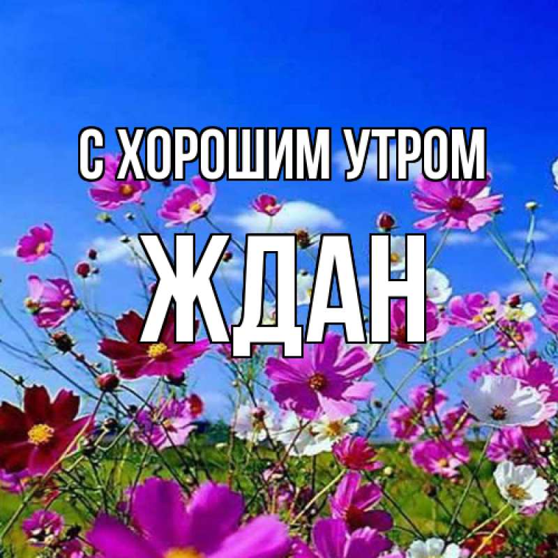 Картинка С хорошим утром, Ждан
