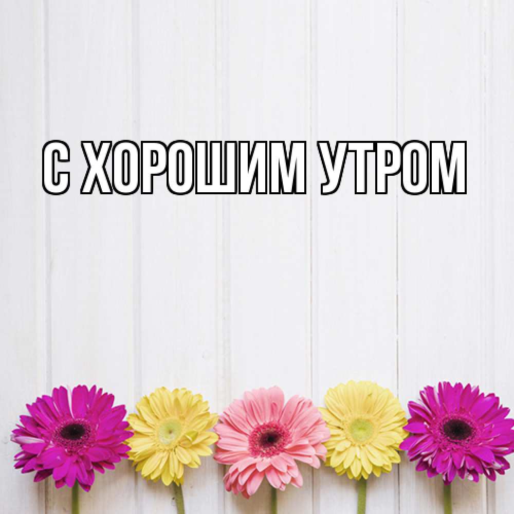 Открытка на каждый день с именем, Иван Люблю тебя женщинам 1 Прикольная открытка с пожеланием онлайн скачать бесплатно 