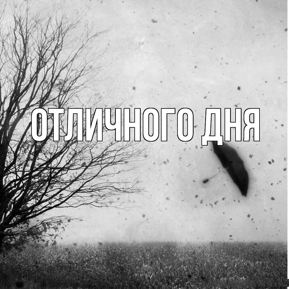 Открытка на каждый день с именем, Леся Скучашки зонт летит Прикольная открытка с пожеланием онлайн скачать бесплатно 