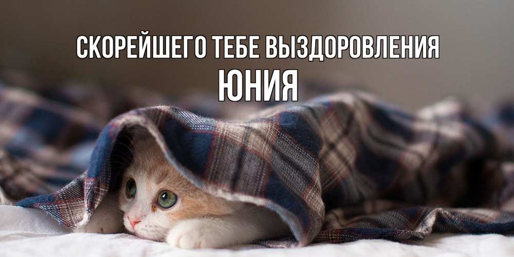 Открытка на каждый день с именем, Юния Скорейшего тебе выздоровления не болейте с котиком Прикольная открытка с пожеланием онлайн скачать бесплатно 