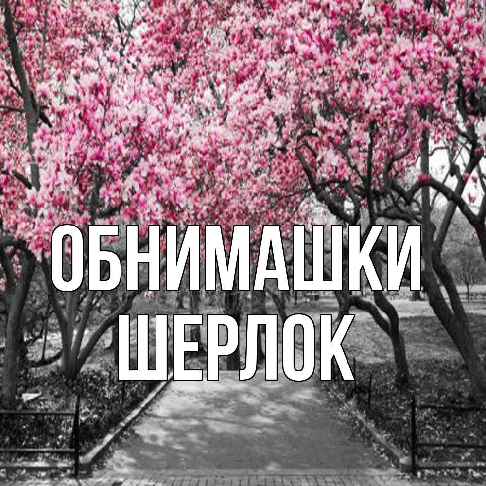 Открытка на каждый день с именем, Шерлок Обнимашки обработанное фото Прикольная открытка с пожеланием онлайн скачать бесплатно 