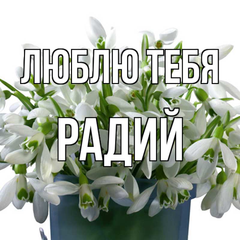 Картинка Люблю тебя, Радий