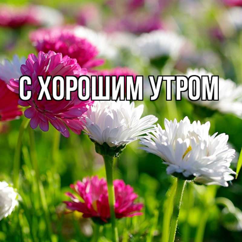 Картинка Люблю тебя, Лёня