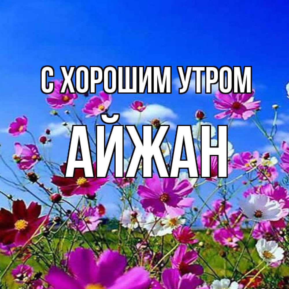 Открытка на каждый день с именем, Айжан С хорошим утром сиреневые цветы Прикольная открытка с пожеланием онлайн скачать бесплатно 
