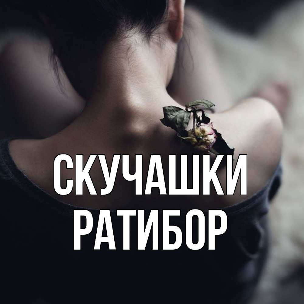 Открытка на каждый день с именем, Ратибор Скучашки засох цветок Прикольная открытка с пожеланием онлайн скачать бесплатно 