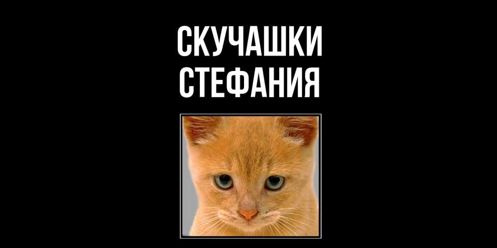 Открытка на каждый день с именем, Стефания Скучашки открытки рыжий котенок скучает по тебе Прикольная открытка с пожеланием онлайн скачать бесплатно 