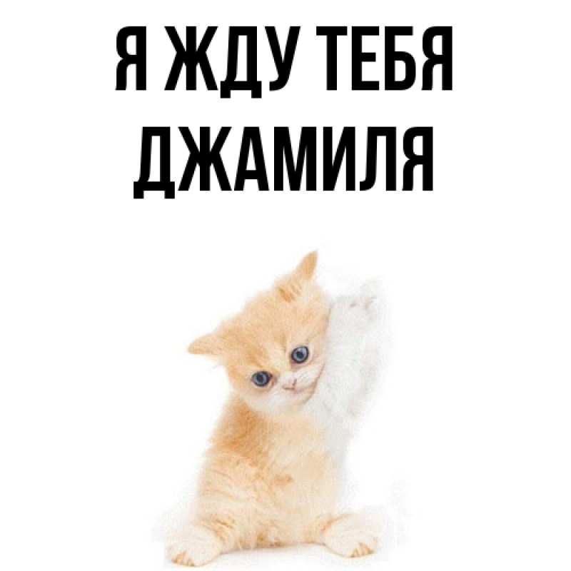 Открытка с именем, Джамиля, Я жду тебя