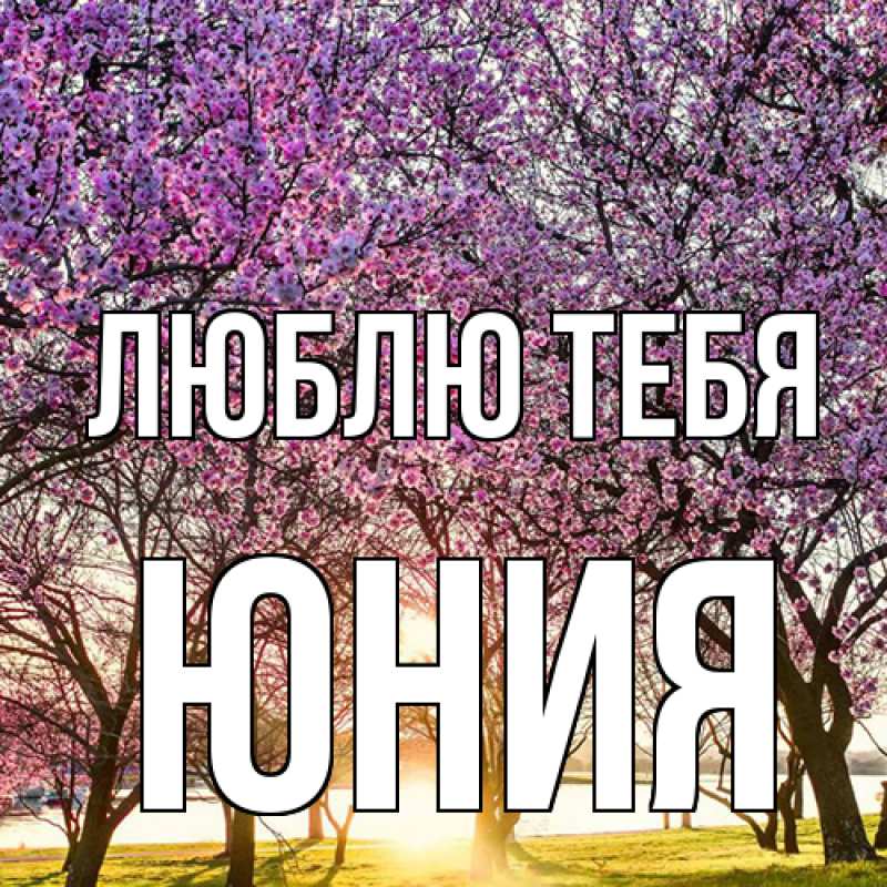 Картинка Люблю тебя, Юния