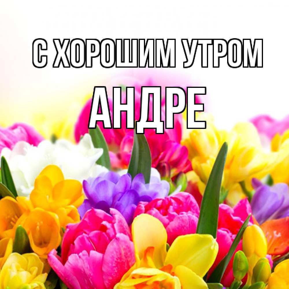 Открытка на каждый день с именем, Андре С хорошим утром создать открытку со свое подписью Прикольная открытка с пожеланием онлайн скачать бесплатно 