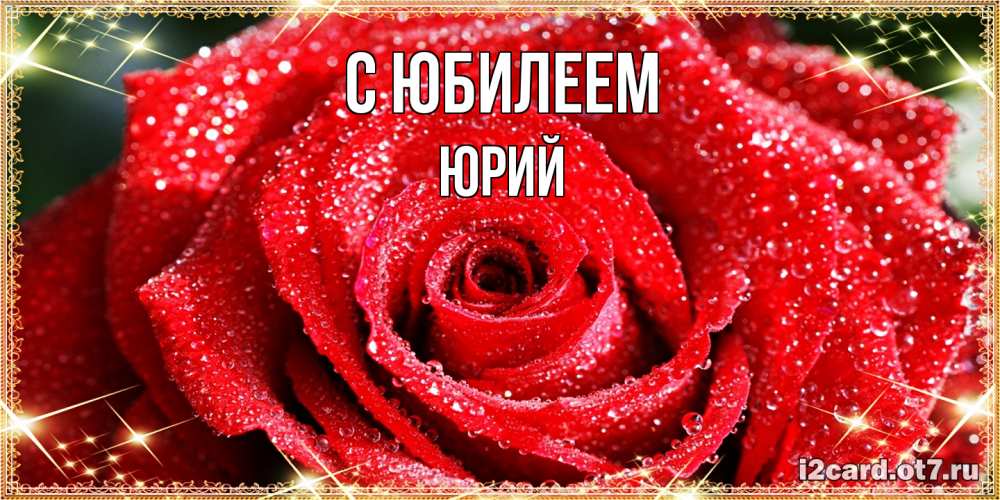 Открытка на каждый день с именем, Юрий C юбилеем роса и роза. открытка с красивой розой Прикольная открытка с пожеланием онлайн скачать бесплатно 