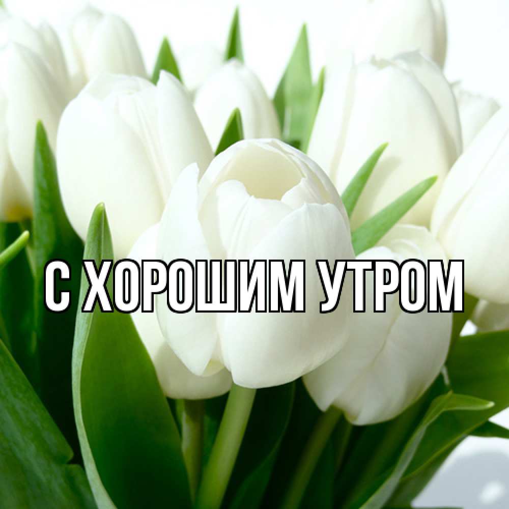 Открытка на каждый день с именем, Лёня Люблю тебя цветы Прикольная открытка с пожеланием онлайн скачать бесплатно 