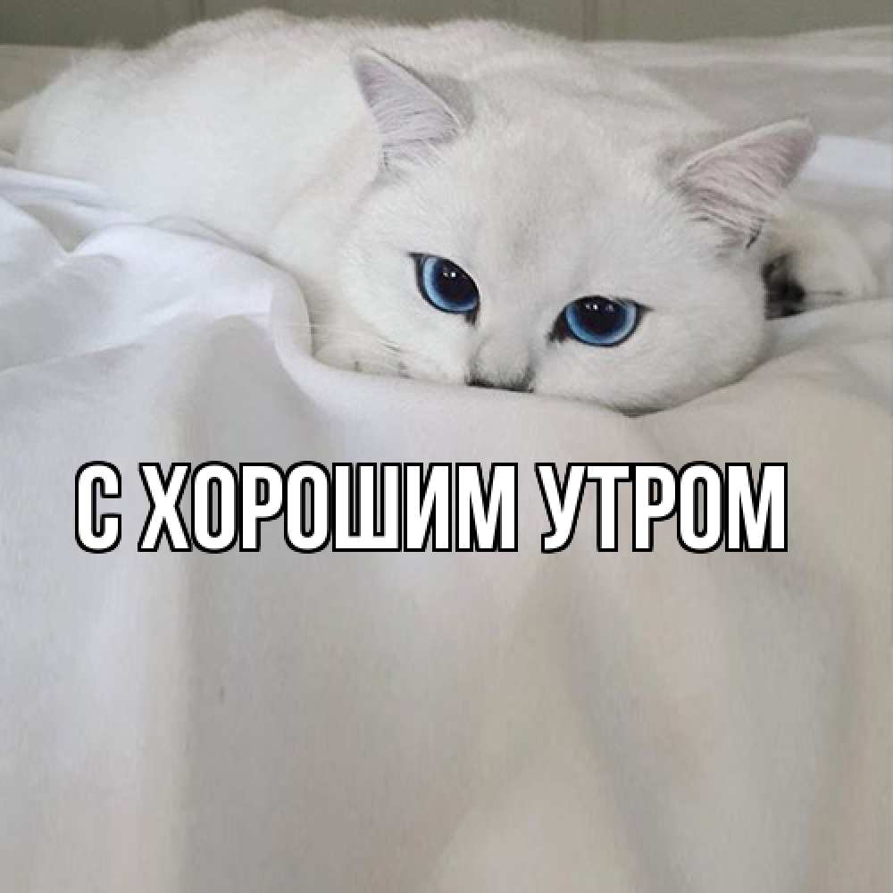 Открытка на каждый день с именем, Тина Я жду тебя я очень по тебе скучаю и тоскую Прикольная открытка с пожеланием онлайн скачать бесплатно 