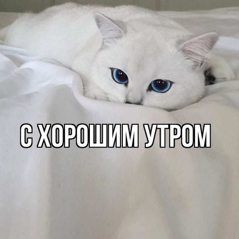 Картинка Я жду тебя, Тина