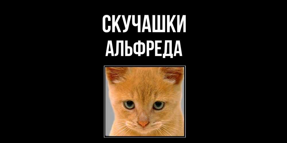 Открытка на каждый день с именем, Альфреда Скучашки открытки рыжий котенок скучает по тебе Прикольная открытка с пожеланием онлайн скачать бесплатно 