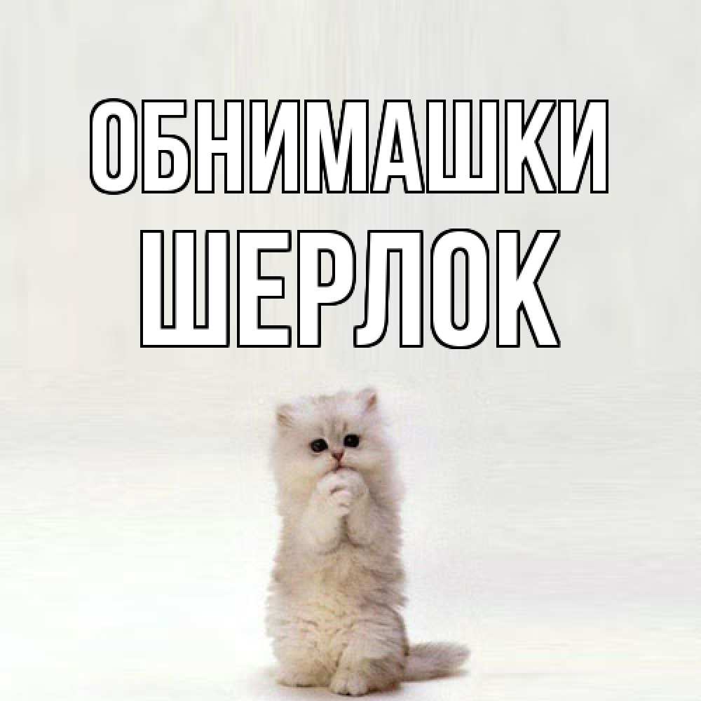 Открытка на каждый день с именем, Шерлок Обнимашки открытки с креативными подписями Прикольная открытка с пожеланием онлайн скачать бесплатно 