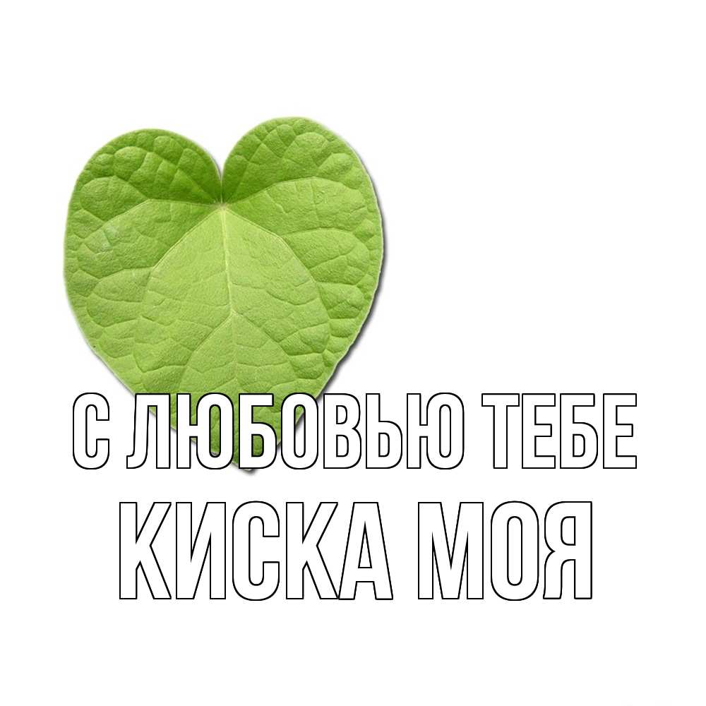 Открытка на каждый день с именем, Киска-моя С любовью тебе тебе Прикольная открытка с пожеланием онлайн скачать бесплатно 