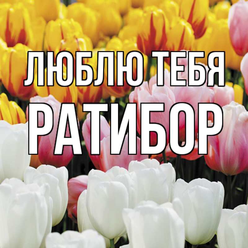 Картинка Люблю тебя, Ратибор
