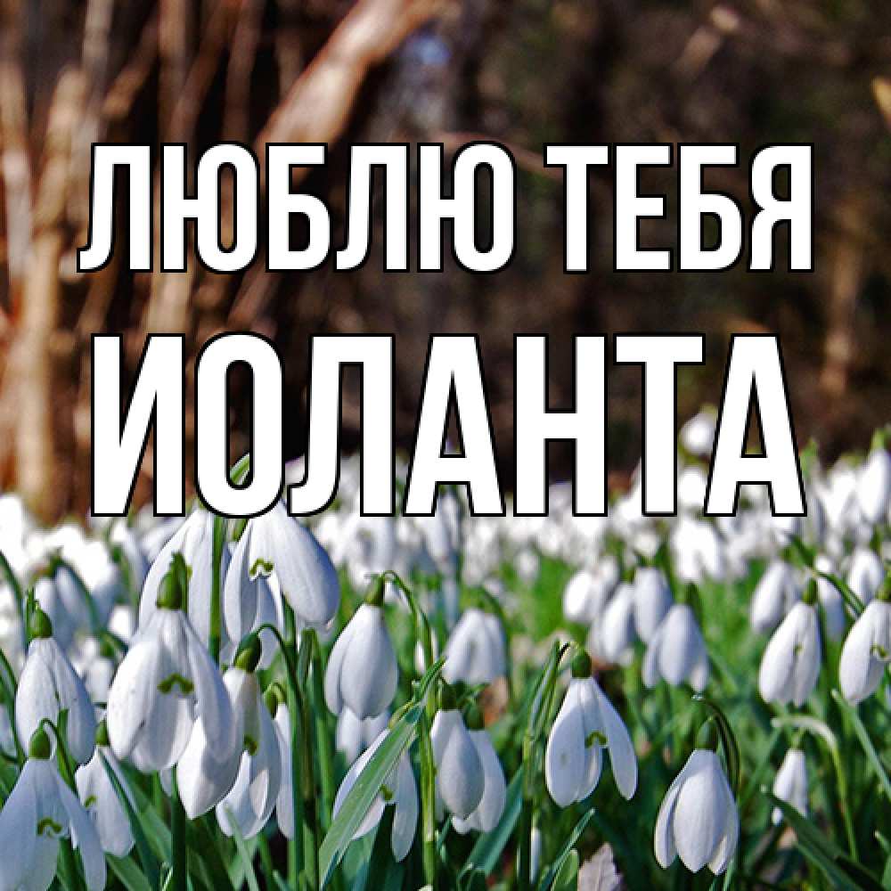 Открытка на каждый день с именем, Иоланта Люблю тебя с подснежниками 1 Прикольная открытка с пожеланием онлайн скачать бесплатно 