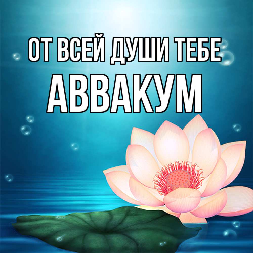 Открытка на каждый день с именем, Аввакум От всей души тебе кувшинка Прикольная открытка с пожеланием онлайн скачать бесплатно 