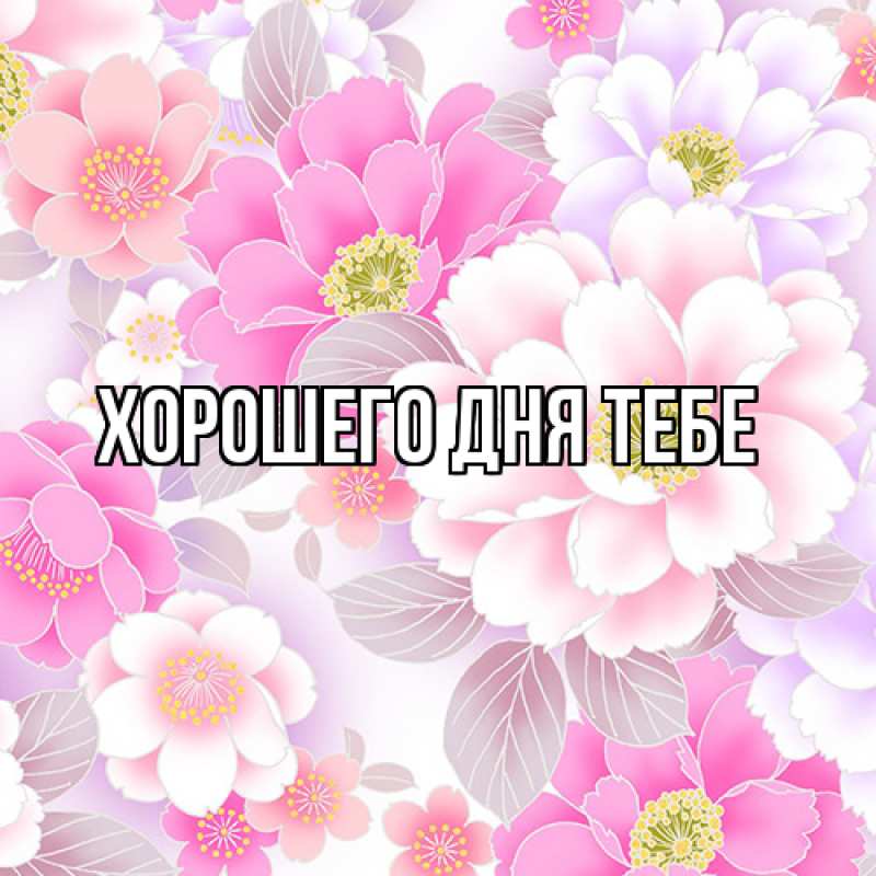 Картинка Люблю тебя, Гастон