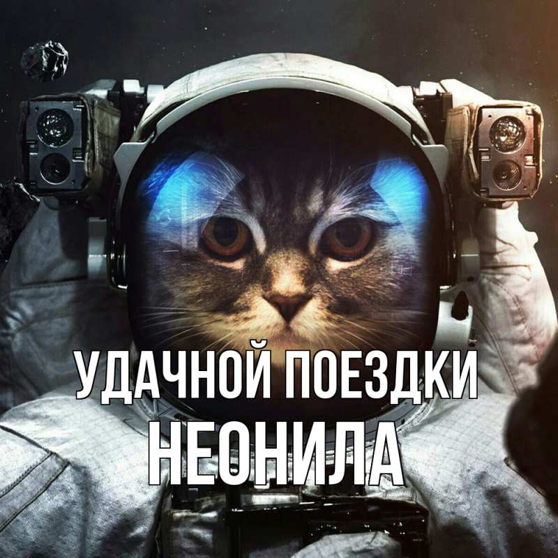 Картинка Удачной поездки, Неонила