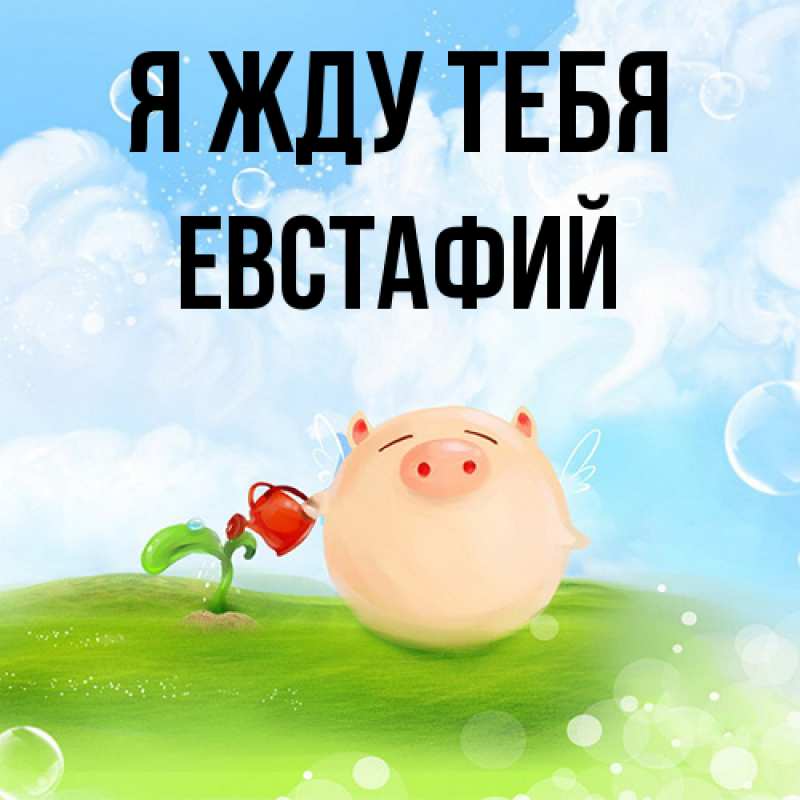 Картинка Я жду тебя, Евстафий