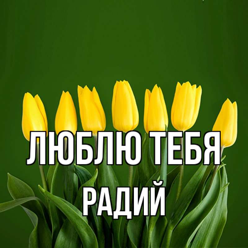 Картинка Люблю тебя, Радий