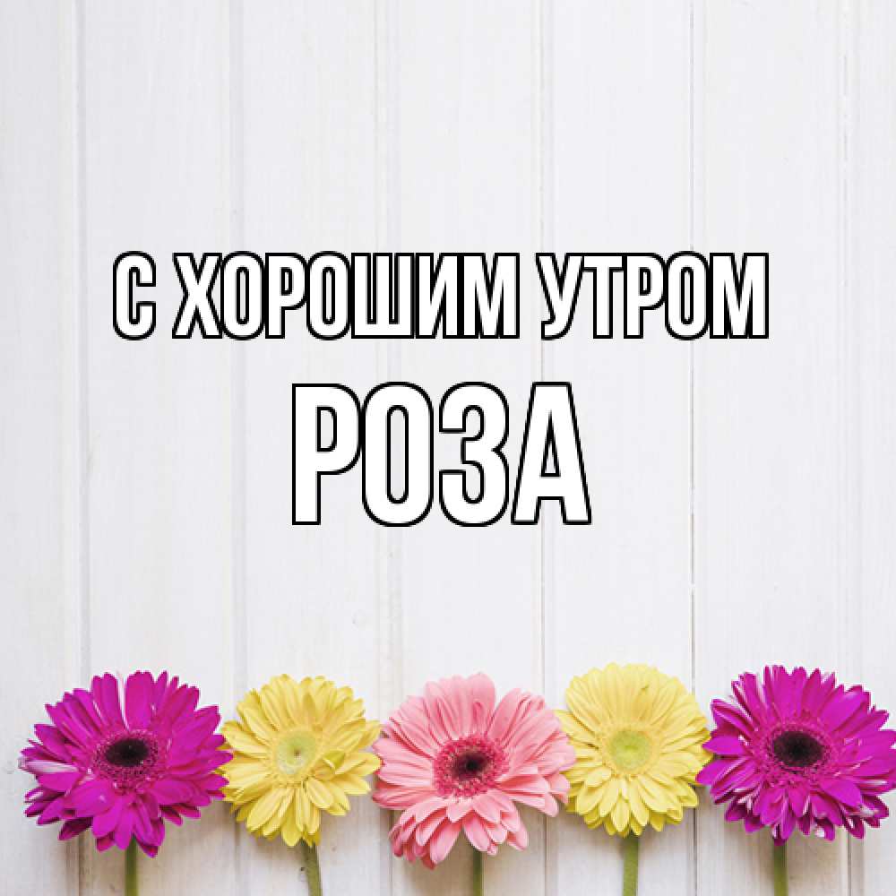 Открытка на каждый день с именем, Роза С хорошим утром красный желтый и розовый цветок Прикольная открытка с пожеланием онлайн скачать бесплатно 