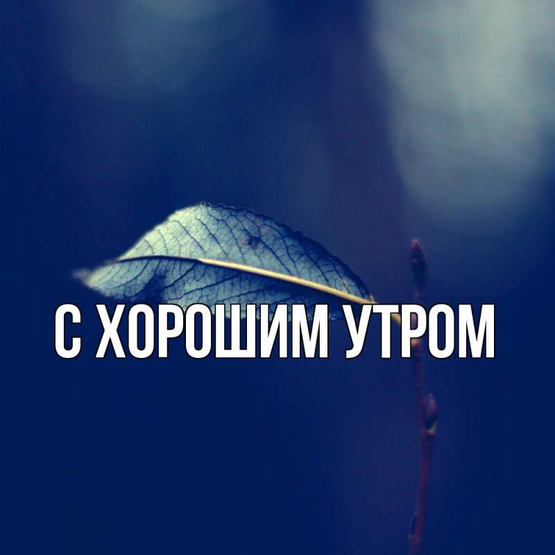 Открытка с именем, Шакира, Скучашки