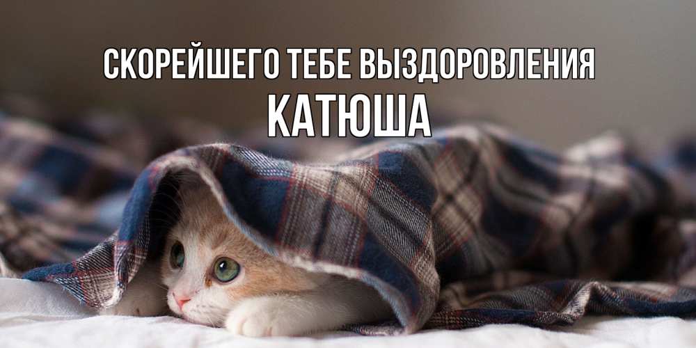 Открытка на каждый день с именем, Катюша Скорейшего тебе выздоровления не болейте с котиком Прикольная открытка с пожеланием онлайн скачать бесплатно 